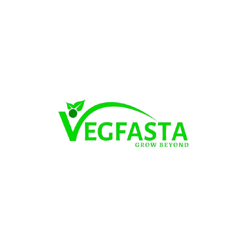 Vegfasta